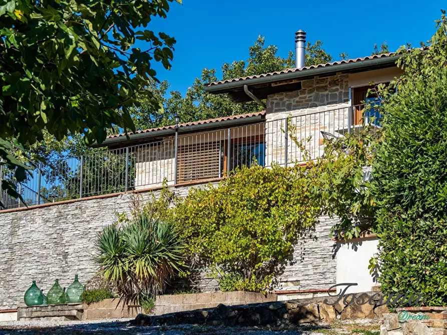 Immagine 74 di Casa colonica in vendita  a Montieri