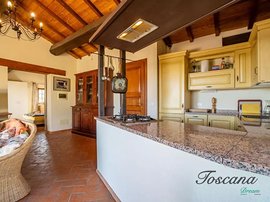 Immagine 83 di Casa colonica in vendita  a Montieri