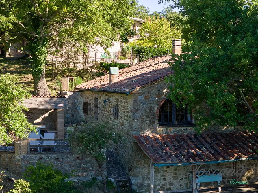 Immagine 115 di Casa colonica in vendita  a Montieri