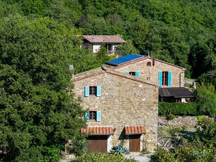 Immagine 39 di Casa colonica in vendita  a Montieri