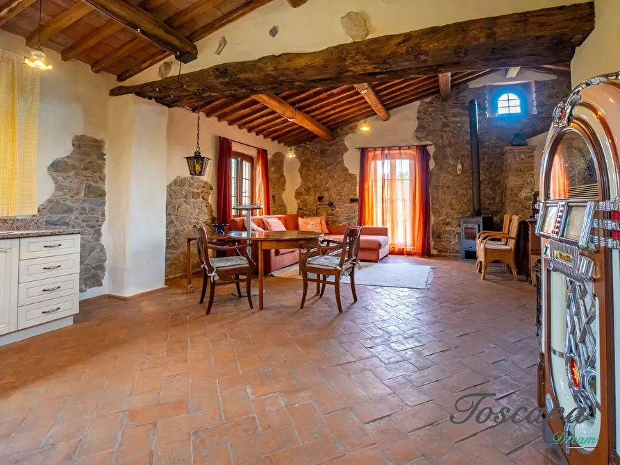 Immagine 59 di Casa colonica in vendita  a Montieri