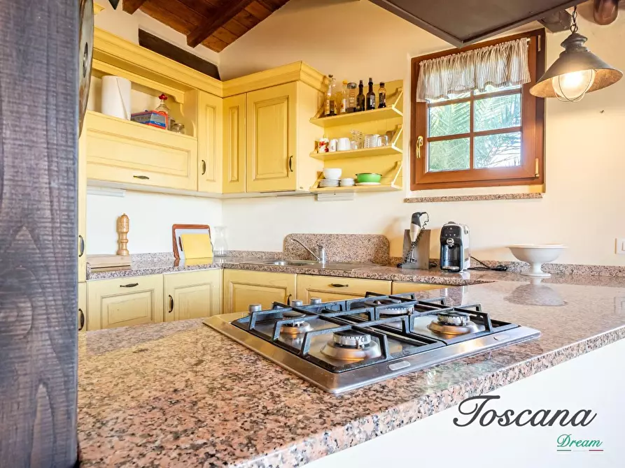 Immagine 85 di Casa colonica in vendita  a Montieri