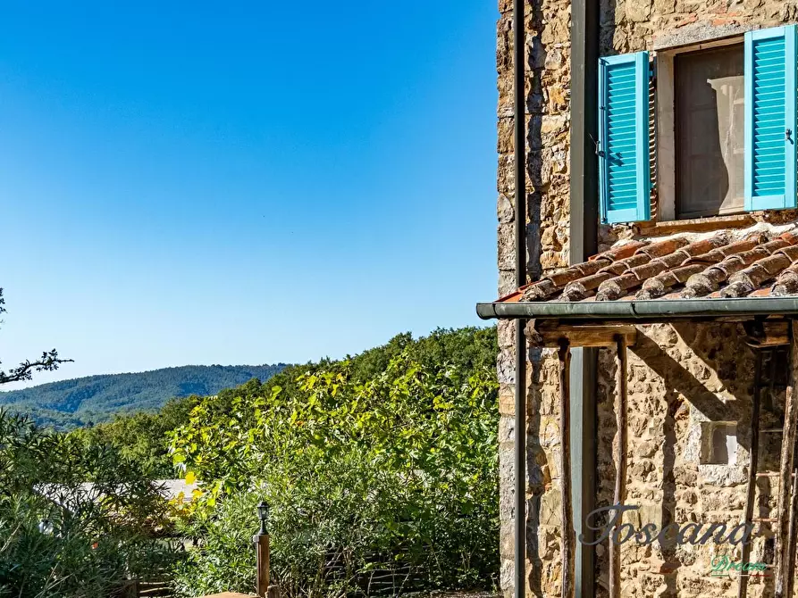 Immagine 14 di Casa colonica in vendita  a Montieri