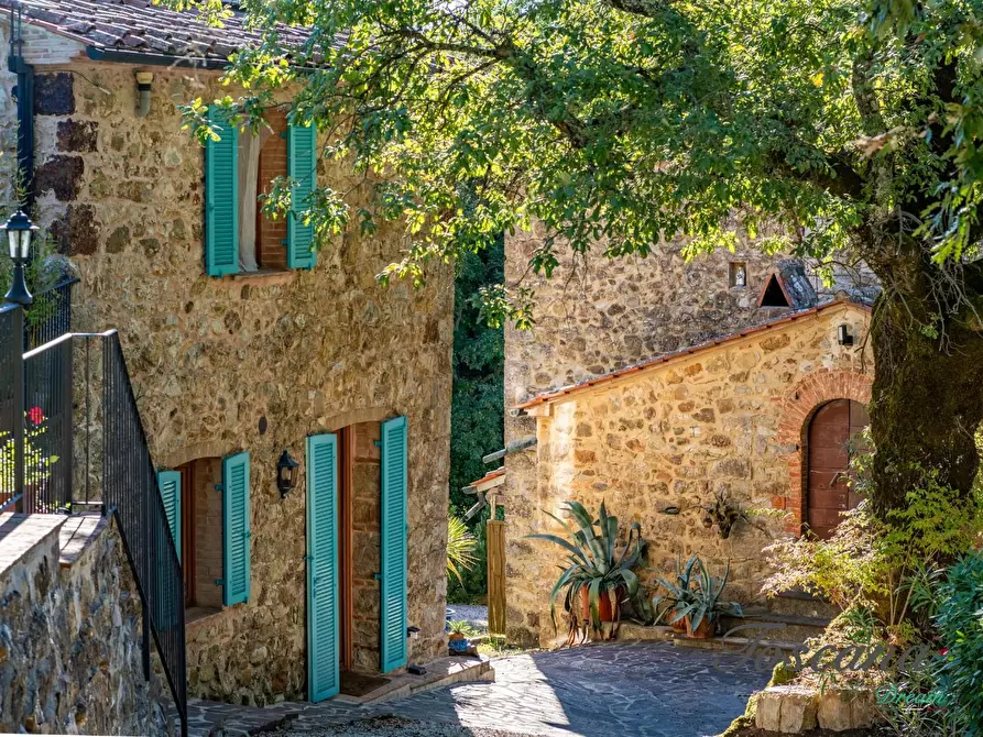 Immagine 8 di Casa colonica in vendita  a Montieri