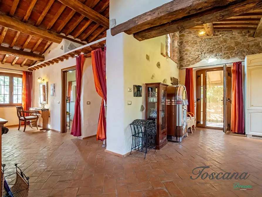 Immagine 69 di Casa colonica in vendita  a Montieri