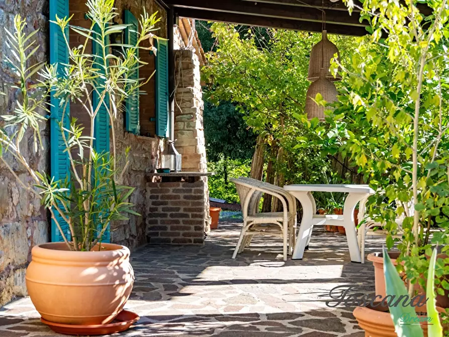 Immagine 48 di Casa colonica in vendita  a Montieri