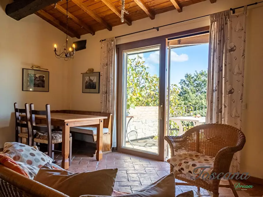 Immagine 87 di Casa colonica in vendita  a Montieri
