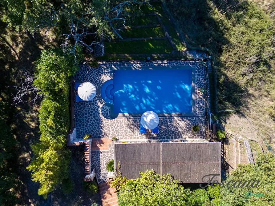 Immagine 40 di Casa colonica in vendita  a Montieri
