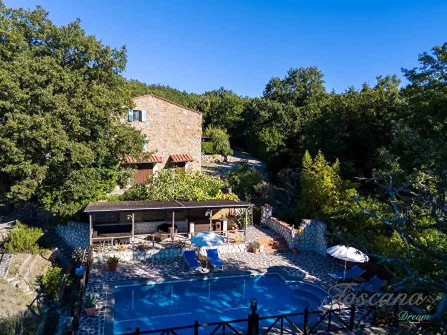 Immagine 3 di Casa colonica in vendita  a Montieri