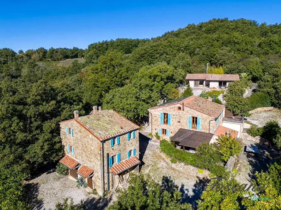 Immagine 4 di Casa colonica in vendita  a Montieri