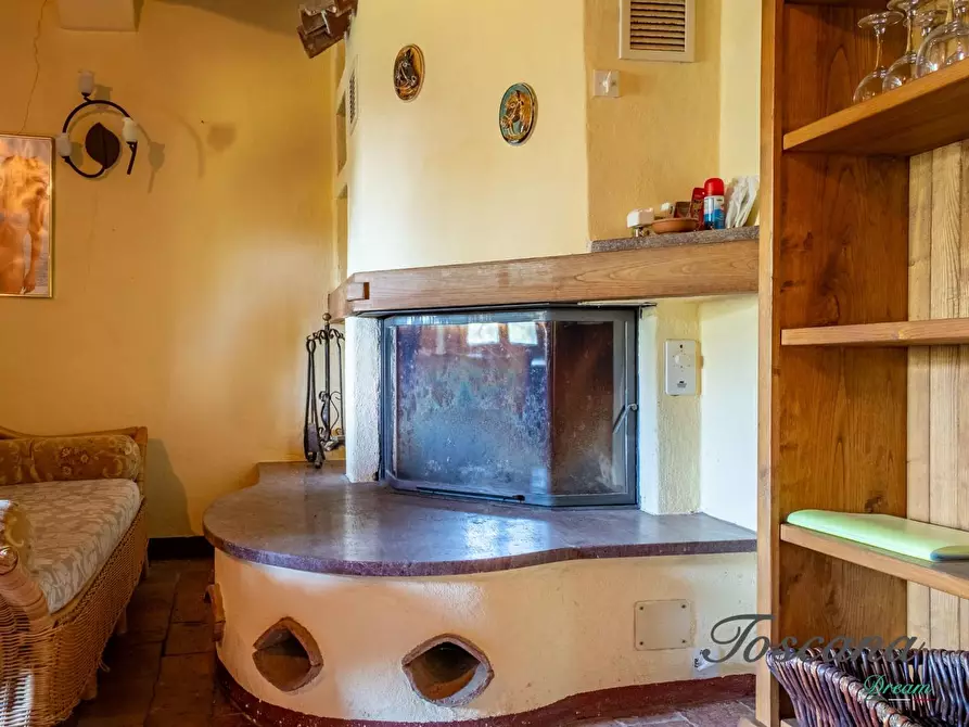 Immagine 106 di Casa colonica in vendita  a Montieri