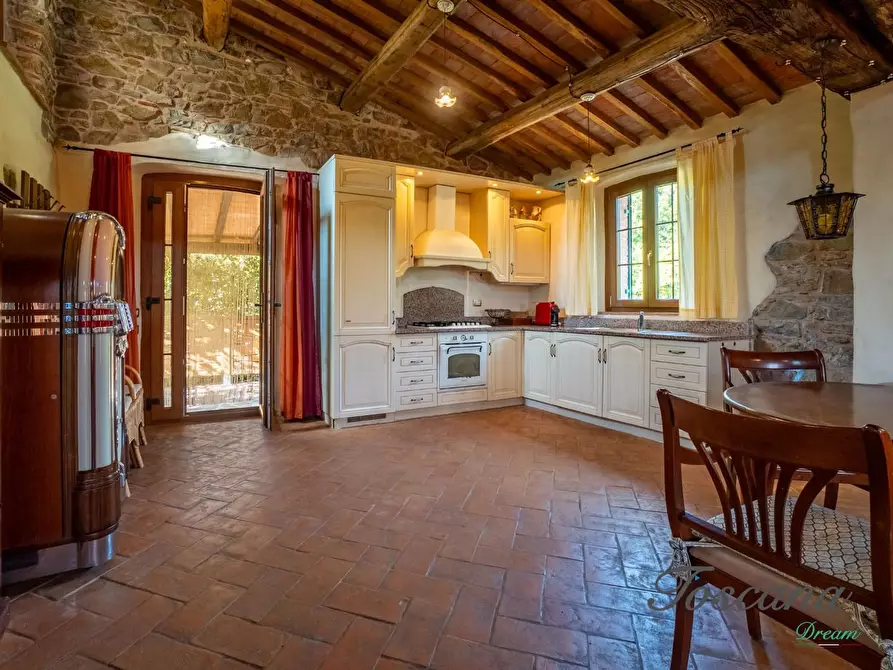 Immagine 58 di Casa colonica in vendita  a Montieri