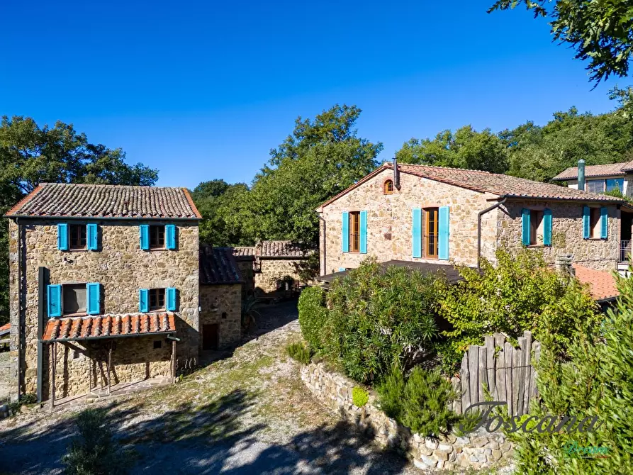 Immagine 7 di Casa colonica in vendita  a Montieri