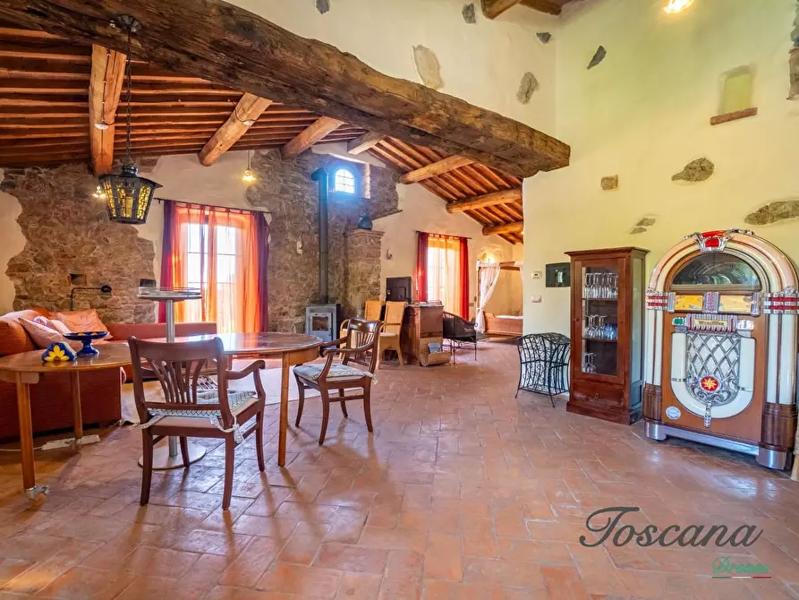 Immagine 56 di Casa colonica in vendita  a Montieri