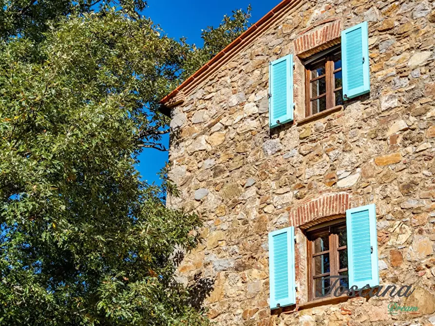 Immagine 11 di Casa colonica in vendita  a Montieri