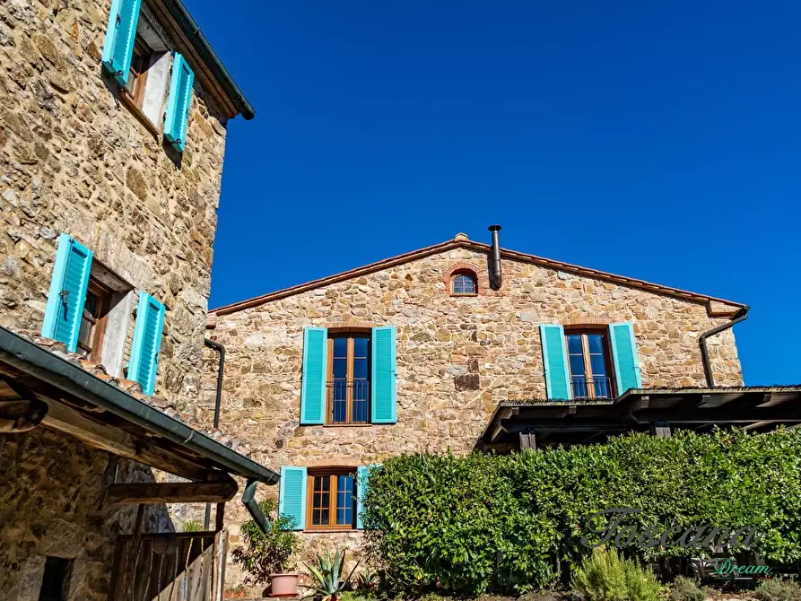 Immagine 12 di Casa colonica in vendita  a Montieri