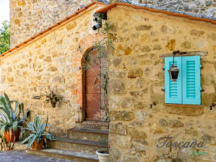 Immagine 21 di Casa colonica in vendita  a Montieri