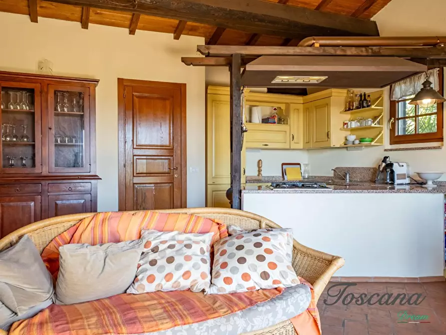 Immagine 81 di Casa colonica in vendita  a Montieri