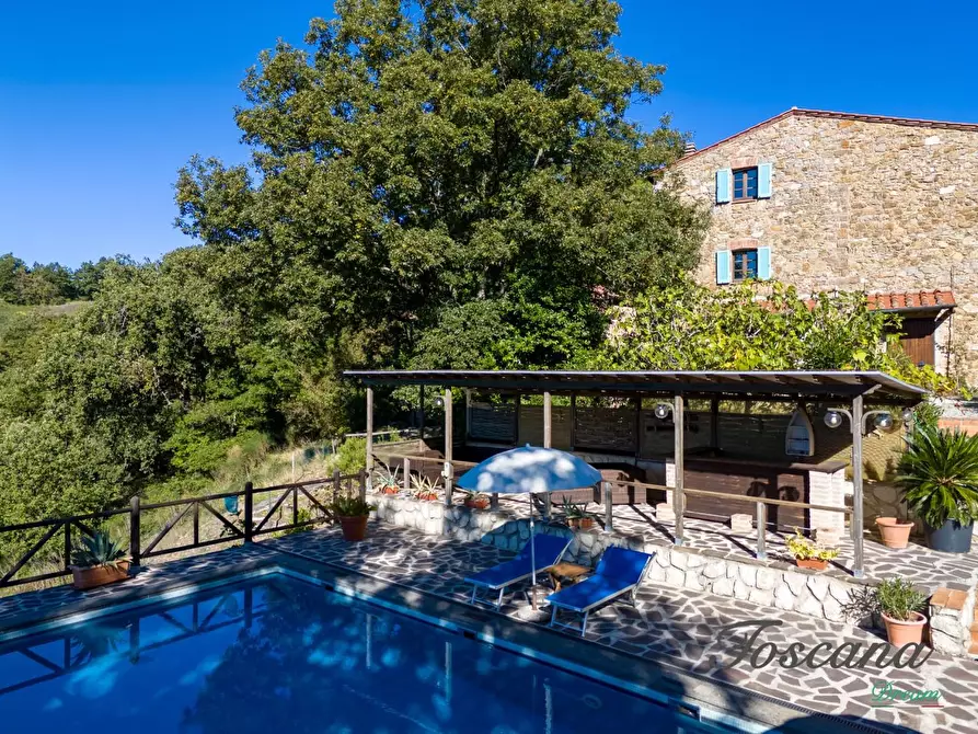Immagine 29 di Casa colonica in vendita  a Montieri