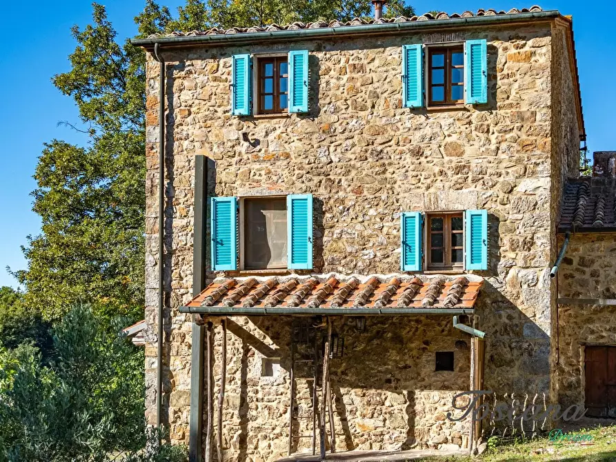 Immagine 13 di Casa colonica in vendita  a Montieri