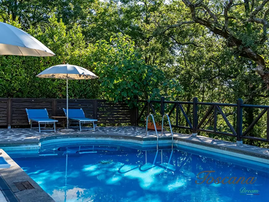 Immagine 24 di Casa colonica in vendita  a Montieri