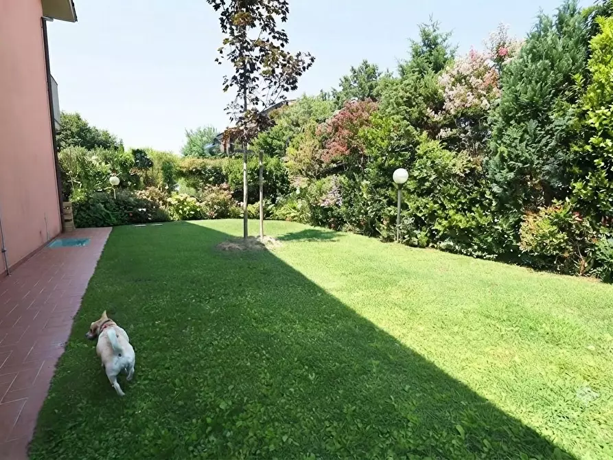 Immagine 4 di Villa in vendita  a Lucca