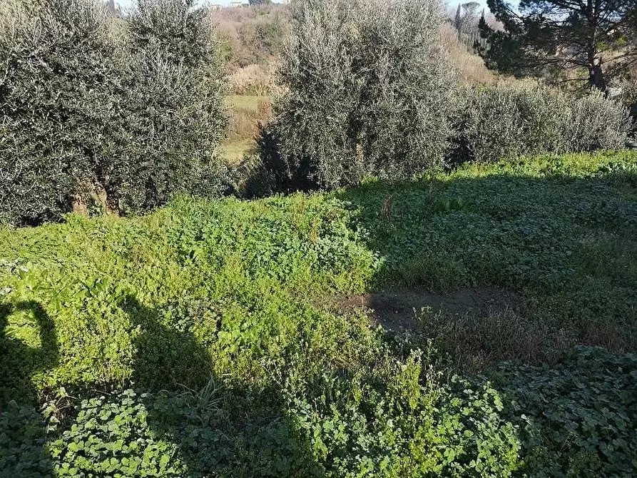 Immagine 13 di Appartamento in affitto  a Santa Maria A Monte