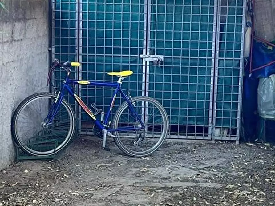 Immagine 15 di Appartamento in vendita  a Rosignano Marittimo