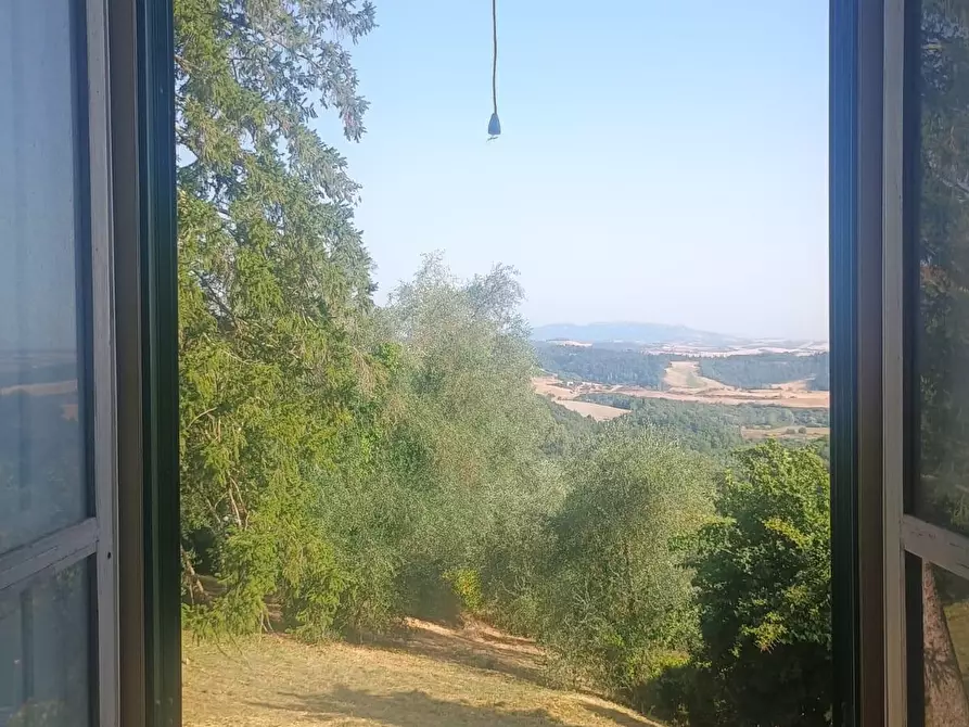 Immagine 2 di Terratetto in vendita  a Peccioli