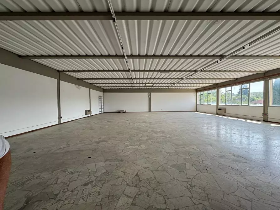 Immagine 11 di Attività artigianale in vendita  a Vinci