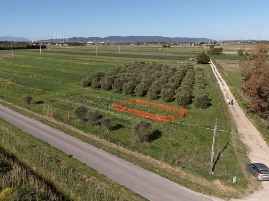 Immagine 10 di Terreno agricolo in vendita  a Piombino