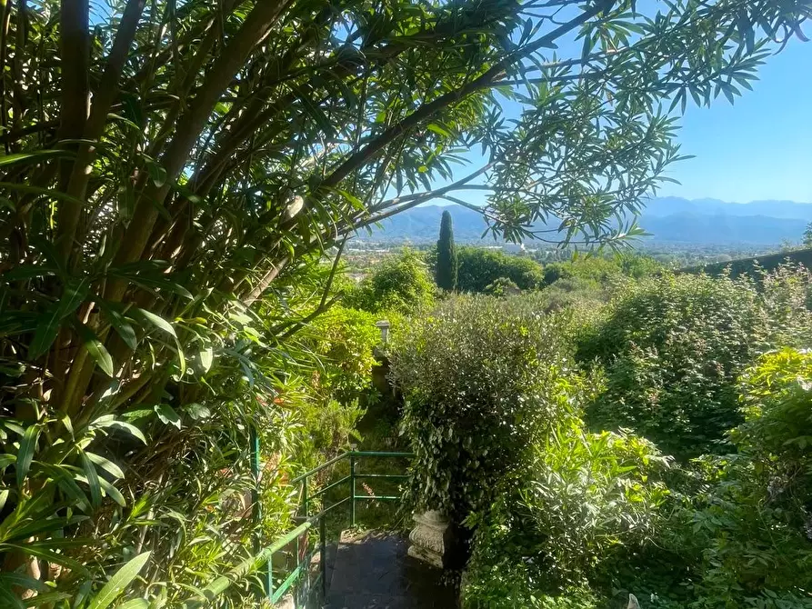 Immagine 21 di Appartamento in affitto  a Ameglia