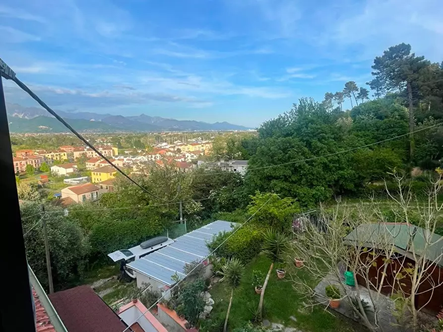 Immagine 2 di Casa indipendente in affitto  a Ameglia