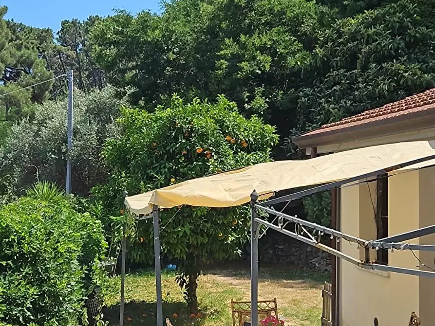 Immagine 7 di Casa indipendente in affitto  a Ameglia