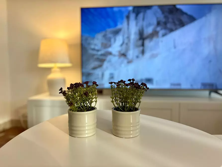 Immagine 7 di Appartamento in vendita  a Carrara