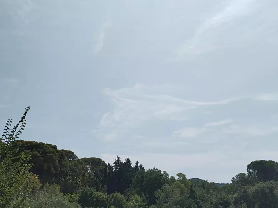 Immagine 3 di Villa in vendita  a Livorno