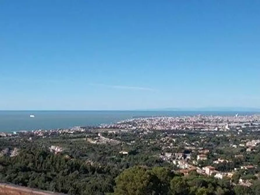Immagine 1 di Villa in vendita  a Livorno