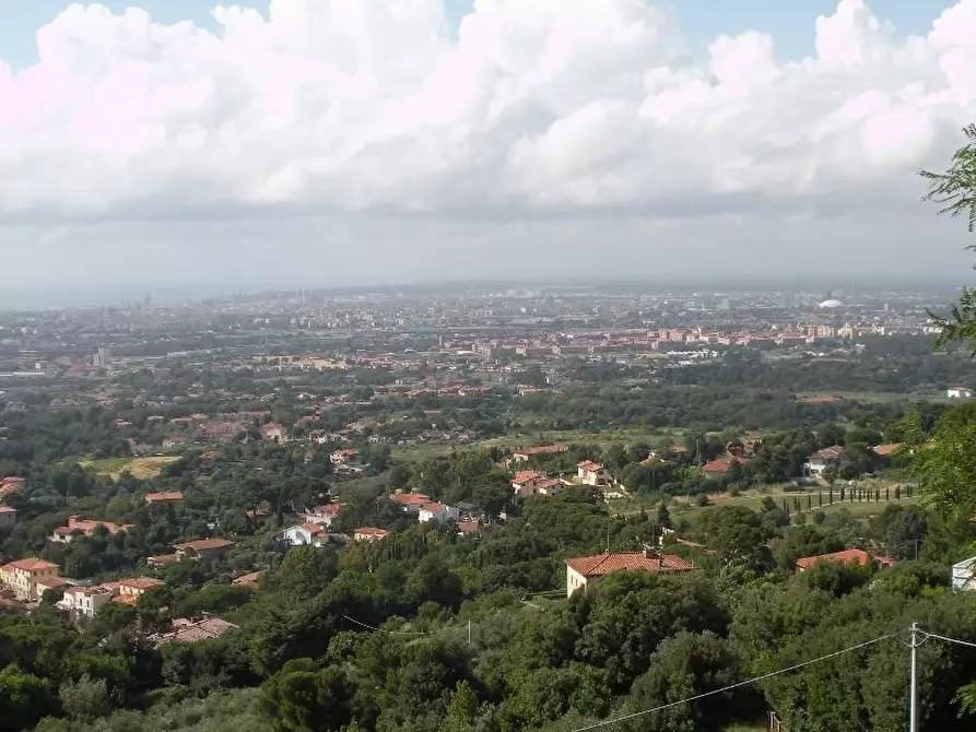 Immagine 4 di Villa in vendita  a Livorno
