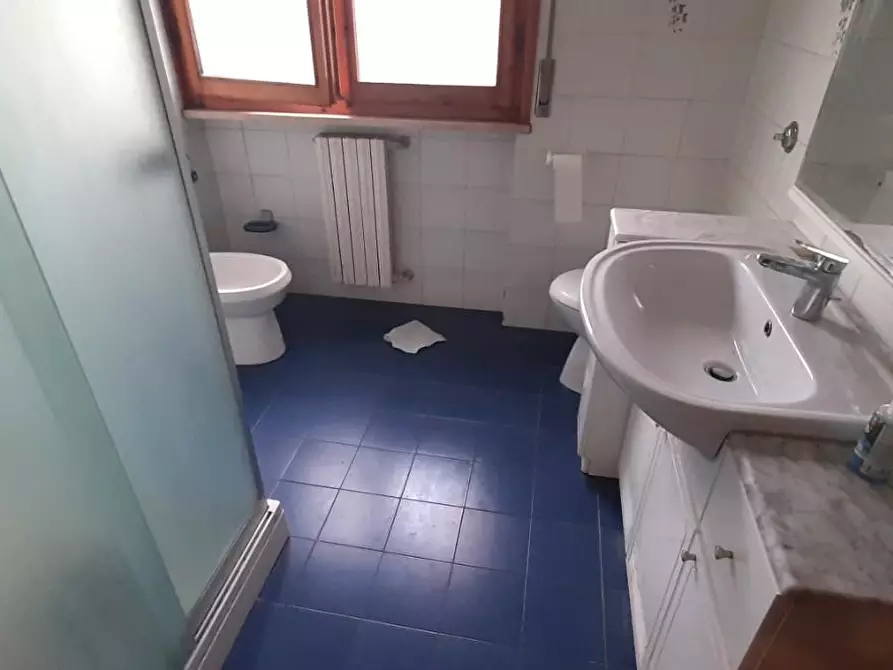 Immagine 19 di Appartamento in vendita  a Rosignano Marittimo