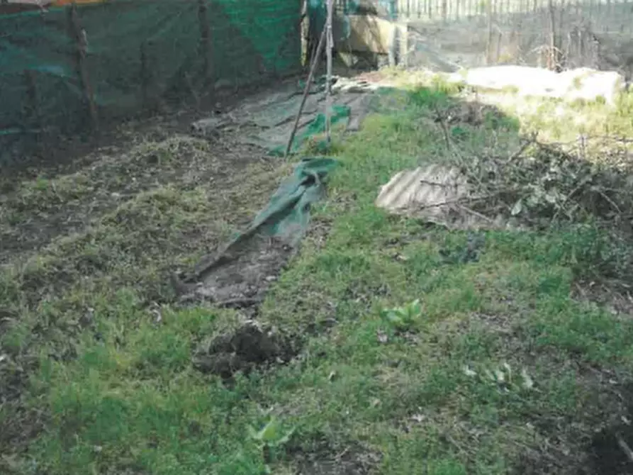 Immagine 10 di Terratetto in vendita  a Rivara