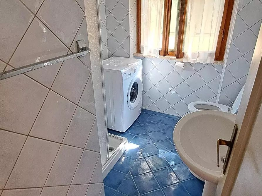 Immagine 13 di Appartamento in affitto  a Rosignano Marittimo