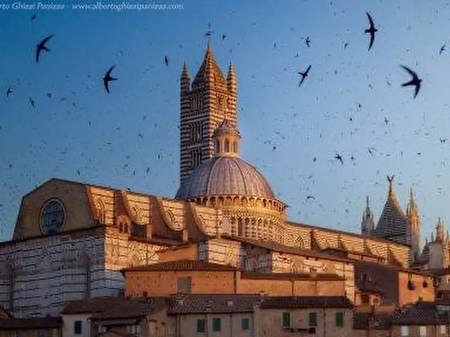 Immagine 1 di Appartamento in vendita  a Siena