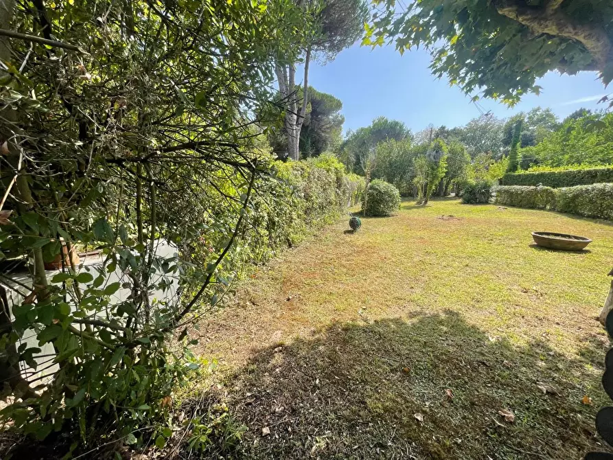 Immagine 3 di Casa indipendente in vendita  a Massa