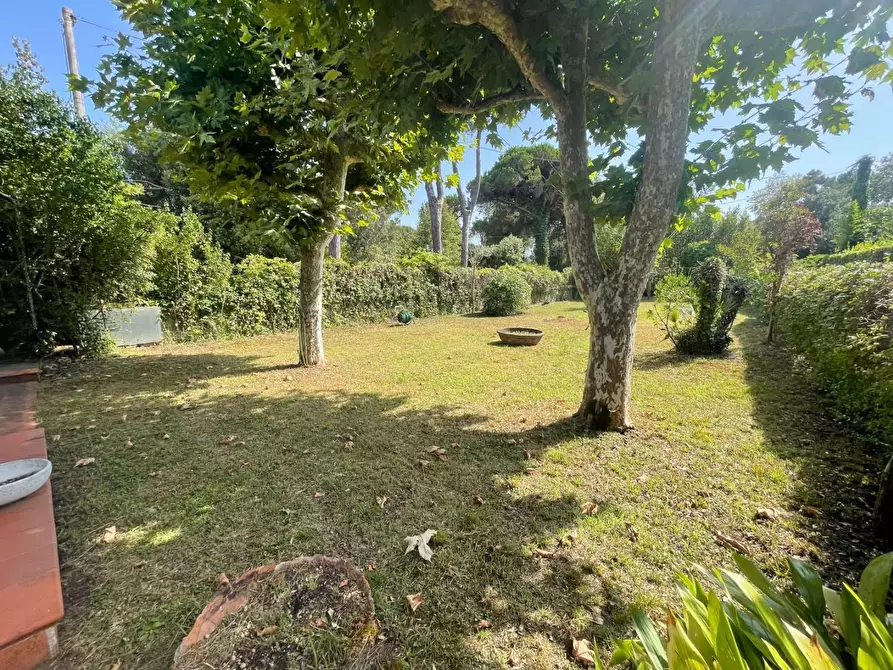 Immagine 2 di Casa indipendente in vendita  a Massa