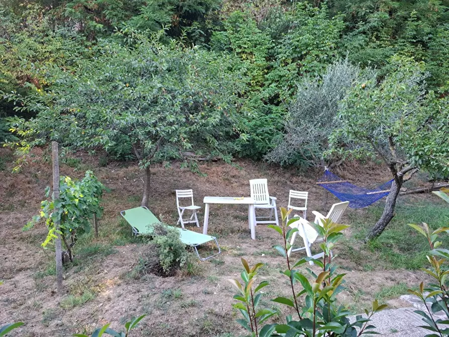 Immagine 11 di Terreno agricolo in vendita  a Vezzano Ligure