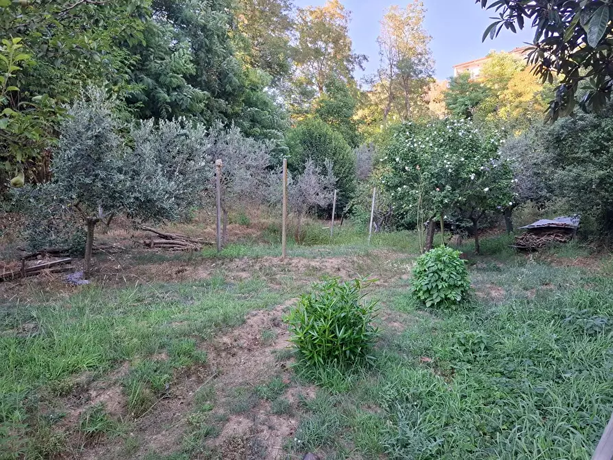 Immagine 15 di Terreno agricolo in vendita  a Vezzano Ligure