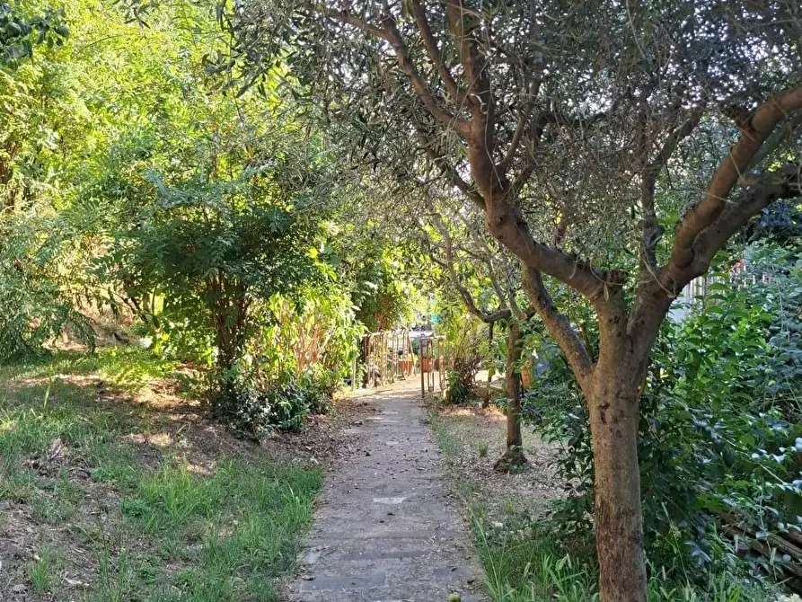 Immagine 4 di Terreno agricolo in vendita  a Vezzano Ligure