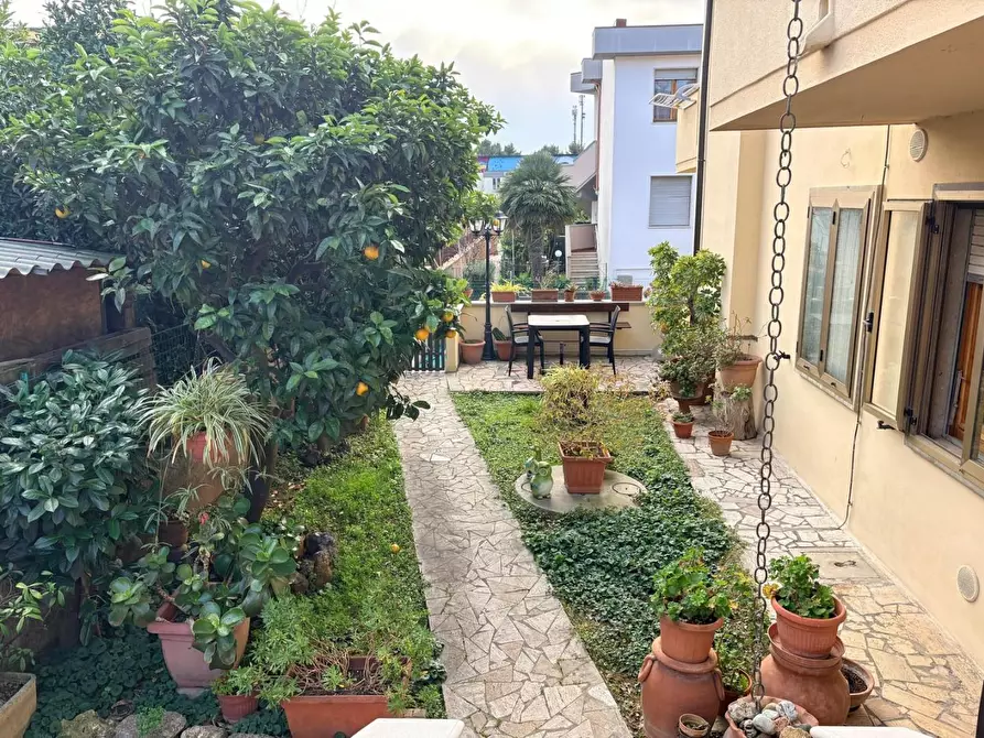 Immagine 30 di Appartamento in vendita  a Cecina