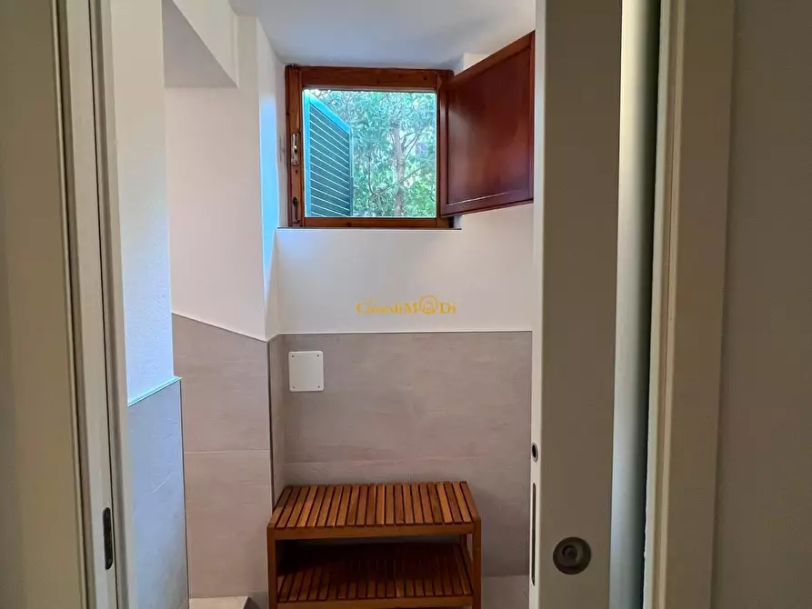 Immagine 14 di Seminterrato in vendita  a Rosignano Marittimo