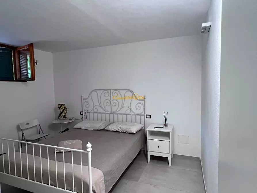 Immagine 9 di Seminterrato in vendita  a Rosignano Marittimo